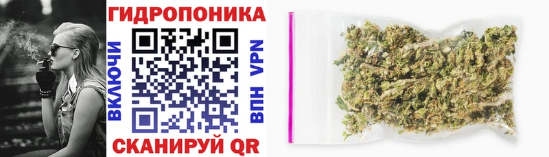 kraken как войти Апшеронск Марихуана индика